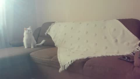 Issabelle online show from October 30, 7:10 am