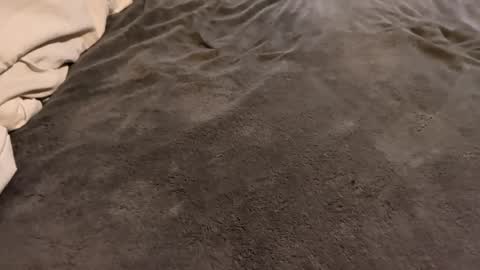 Snapshot of j_m12397 chatting on February 27, 3:17 am j_m12397 online show from February 27, 3:17 am