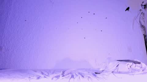 Snapshot of j_martony chatting on November 5, 2:17 pm j_martony online show from November 5, 2:17 pm