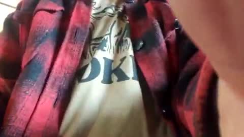 Dess online show from April 15, 5:20 pm