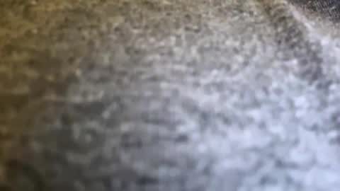 jackjackerman online show from April 15, 8:09 pm