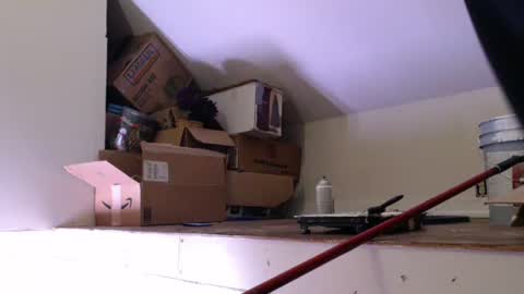 funtimes49203 online show from January 18, 1:29 pm