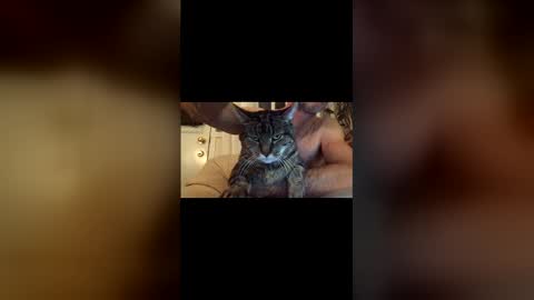 Snapshot of jacobmotes chatting on December 17, 10:49 pm Jacob online show from December 17, 10:49 pm