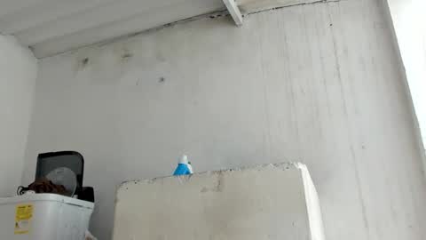 Snapshot of jadesmiith1 chatting on October 24, 5:53 pm Jade Smith online show from October 24, 5:53 pm