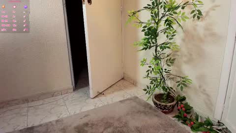 Snapshot of jahgio chatting on November 19, 7:08 am Jahgio online show from November 19, 7:08 am