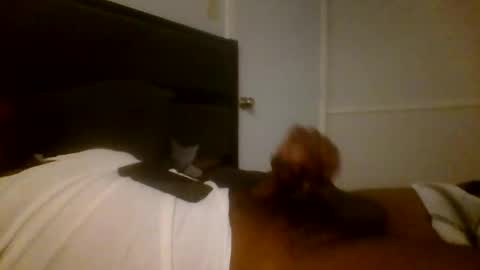 Jamacian online show from December 16, 3:19 am