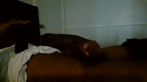 Snapshot of jamacianmehorny chatting on January 2, 8:35 pm Jamacian online show from January 2, 8:35 pm