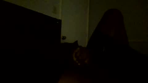 Snapshot of jamacianmehorny chatting on February 25, 11:11 pm Jamacian online show from February 25, 11:11 pm