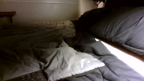 Snapshot of jamacianmehorny chatting on September 30, 3:00 am Jamacian online show from September 30, 3:00 am