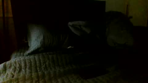 Snapshot of jamacianmehorny chatting on November 7, 5:07 am Jamacian online show from November 7, 5:07 am