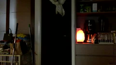 Snapshot of jamesmo820913 chatting on October 25, 3:58 am jamesmo820913 online show from October 25, 3:58 am