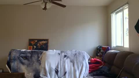 Snapshot of jameswolf777 chatting on September 13, 11:48 pm jameswolf777 online show from September 13, 11:48 pm