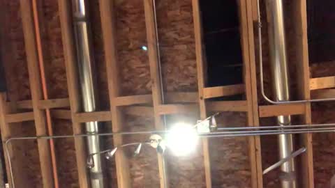 Snapshot of jamie19905 chatting on October 29, 2:25 am jamie19905 online show from October 29, 2:25 am