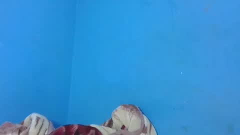 Snapshot of jarevavax chatting on January 25, 2:58 pm JarevavaX online show from January 25, 2:58 pm