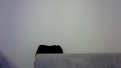 Snapshot of jaspal55 chatting on November 9, 2:04 pm jaspal55 online show from November 9, 2:04 pm