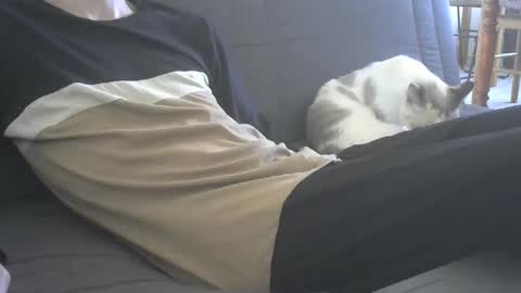 jasper 0 e23cm online show from September 21, 7:43 am