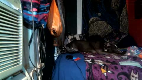 Snapshot of jax_skyfallin chatting on February 25, 4:46 am jaxxx666 online show from February 25, 4:46 am