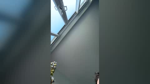 Snapshot of jay40451 chatting on December 20, 10:00 am jay40451 online show from December 20, 10:00 am