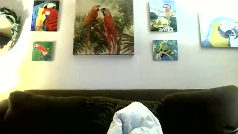 Snapshot of jay_jay1475 chatting on January 12, 7:31 pm jay-jay1475 online show from January 12, 7:31 pm
