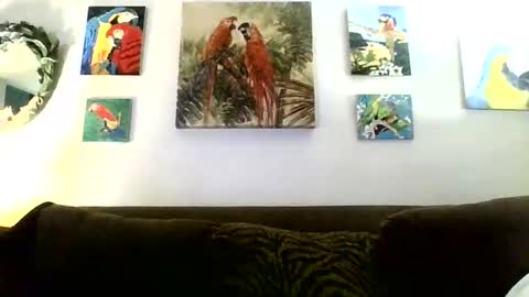Snapshot of jay_jay1475 chatting on January 16, 8:46 pm jay-jay1475 online show from January 16, 8:46 pm