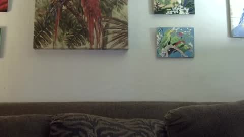 Snapshot of jay_jay1475 chatting on January 21, 9:25 pm jay-jay1475 online show from January 21, 9:25 pm