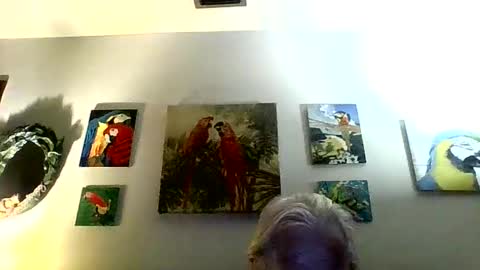 Snapshot of jay_jay1475 chatting on February 3, 11:26 pm jay-jay1475 online show from February 3, 11:26 pm