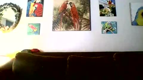 jay-jay1475 online show from February 18, 6:15 pm