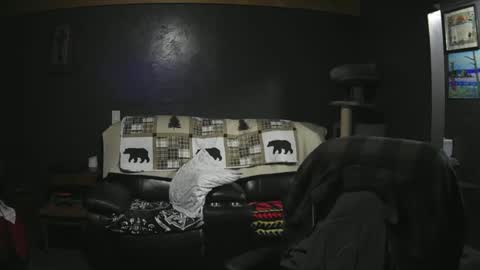 Snapshot of jaycanbefun chatting on September 21, 2:57 am Grand Zaddy or Jay its casual online show from September 21, 2:57 am