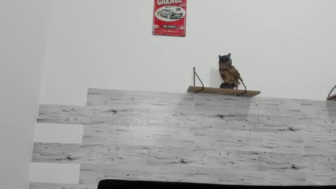 Jaycreedd online show from March 6, 7:25 am