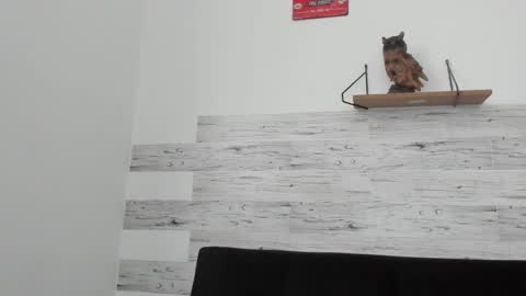 Jaycreedd online show from September 22, 1:46 pm