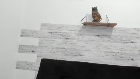 Jaycreedd online show from October 2, 9:55 pm