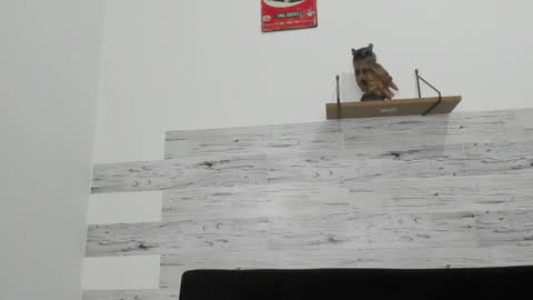 Jaycreedd online show from November 26, 4:13 am