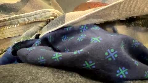 Snapshot of jbigblue chatting on September 28, 3:28 pm jbigblue online show from September 28, 3:28 pm