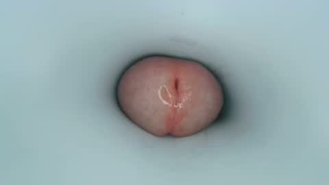 Snapshot of jeffrodgerschaturbat chatting on January 11, 12:50 pm jeffrodgerschaturbat online show from January 11, 12:50 pm