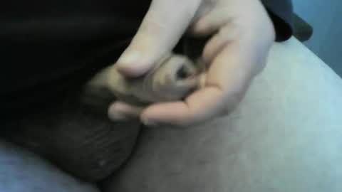 Snapshot of jellydaddy57 chatting on January 24, 1:03 pm jellydaddy57 online show from January 24, 1:03 pm