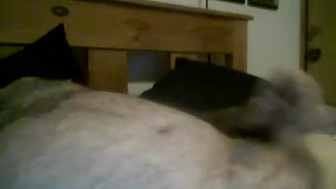 jerkmate6666 online show from March 12, 11:44 pm