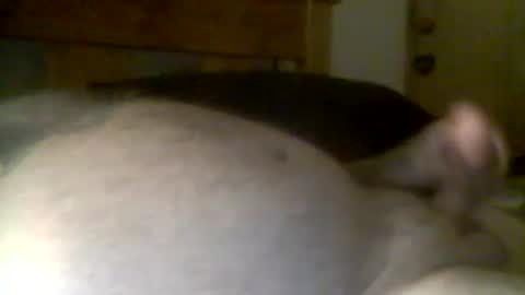 jerkmate6666 online show from April 21, 11:49 am