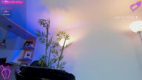  Jessica Pratt  IG jessicaxpratt online show from February 25, 11:11 pm