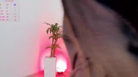 Snapshot of jessie_jarper chatting on September 10, 12:05 pm jessie_jarper online show from September 10, 12:05 pm