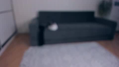 NEW VIDEO IN BIO online show from November 25, 7:52 am