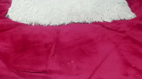 Snapshot of jessymoon00 chatting on November 25, 12:43 am jessy online show from November 25, 12:43 am