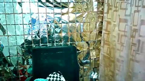 Snapshot of jet_clomet21 chatting on February 16, 1:16 pm Ale online show from February 16, 1:16 pm