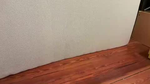 me online show from January 16, 6:39 am