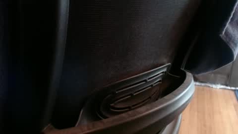 cock model  bathing suit model online show from December 1, 9:26 pm