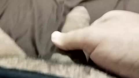 jj3377 online show from October 26, 6:08 am