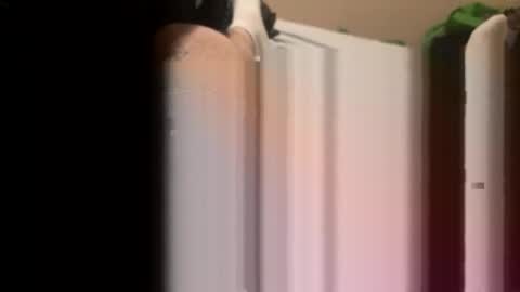 Snapshot of jocmyv9wokry chatting on February 20, 11:54 am jocmyv9wokry online show from February 20, 11:54 am