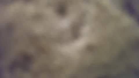 Snapshot of joemomma612 chatting on October 14, 3:40 am joemomma612 online show from October 14, 3:40 am