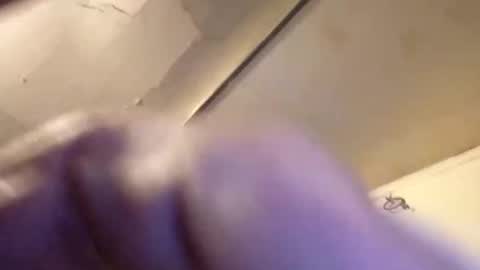 Snapshot of joemomma612 chatting on November 22, 1:54 pm joemomma612 online show from November 22, 1:54 pm