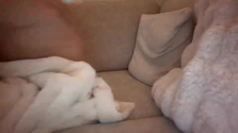 joeybanan online show from December 14, 8:09 am