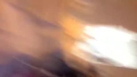 Snapshot of john0131739980 chatting on September 19, 6:37 am john0131739980 online show from September 19, 6:37 am